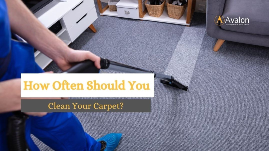 How Often Should You Clean Your Carpet