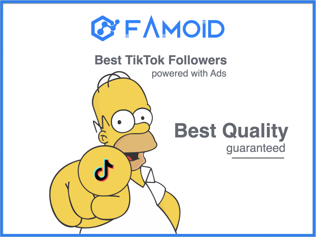 Buy TikTok Followers - Get Real TikTok Followers starting at [$3.95!]