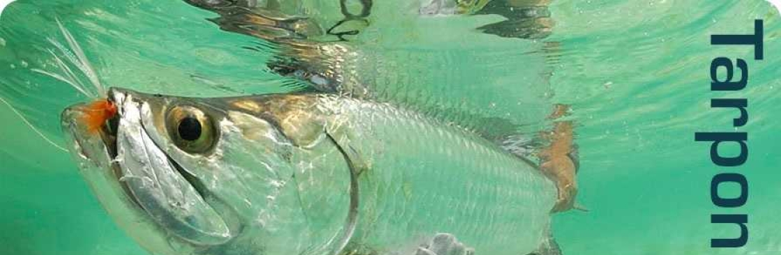 Captain Dustin Fishing Charters Cover Image