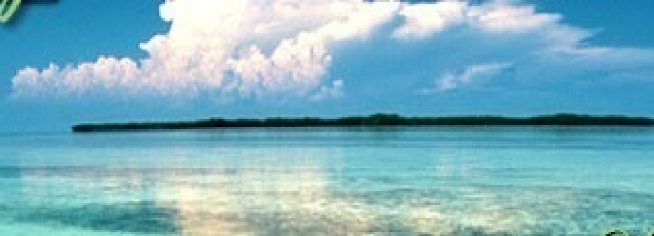 Bone Fishing Key West Cover Image