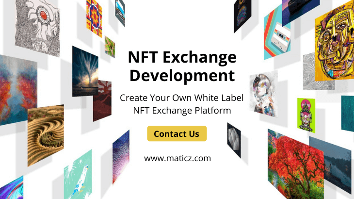 NFT Exchange Platform Development Company