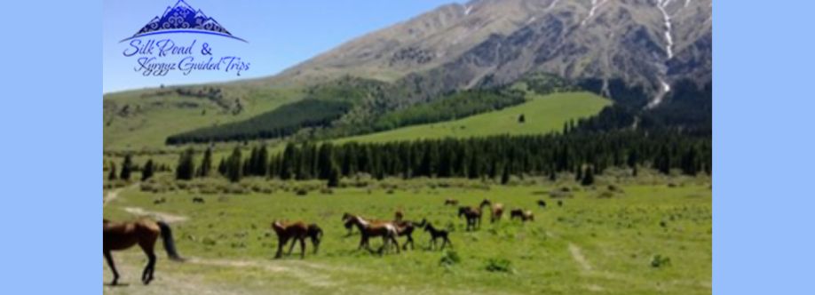 Kyrgyz Guided Tours Cover Image