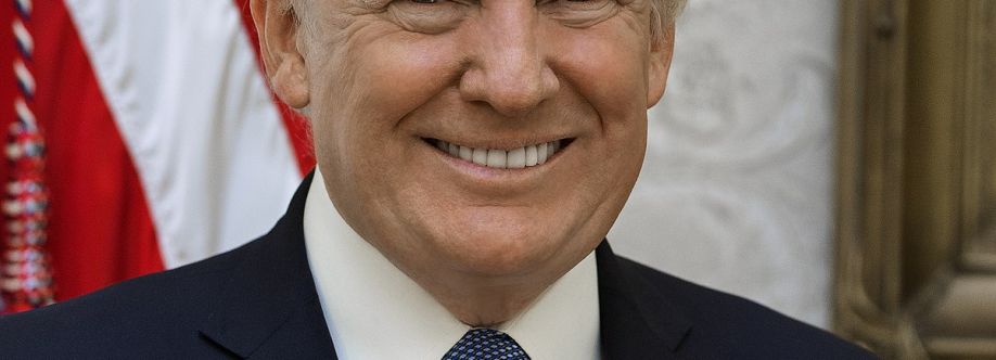 donald trump net worth Cover Image