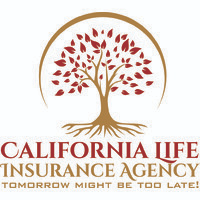 Choose the Best Term Life Insurance Plans form the Array