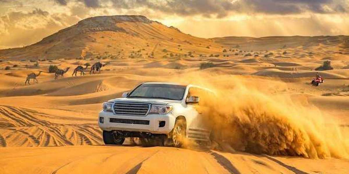Portable Vehicle Wash in Abu Dhabi - Fine, whatever?