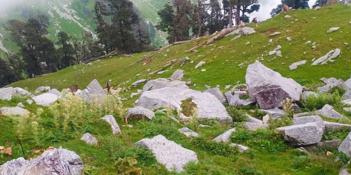 Camping in Kheerganga