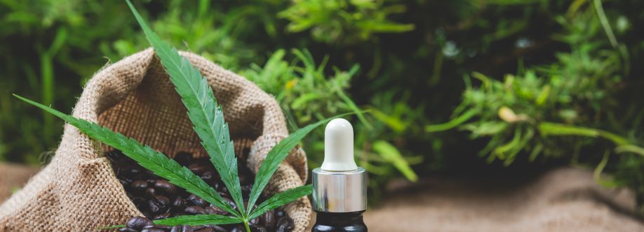 Bring Delta Cover Image