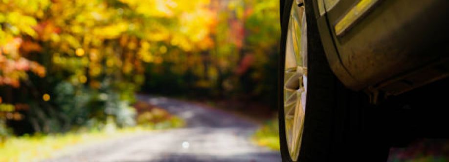 Cars and Vans Servicing and Repair Cover Image