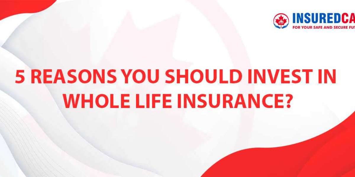 5 Reasons You Should Invest in Whole Life Insurance?