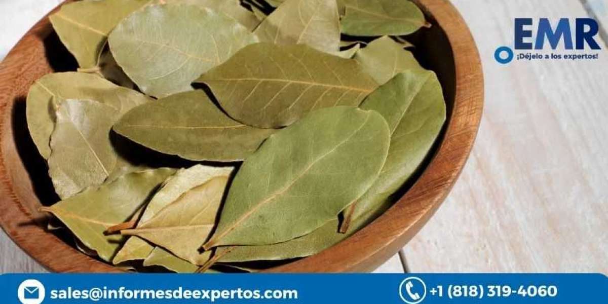 Global Bay Leaf Market Report, Size, Price 2023-2028