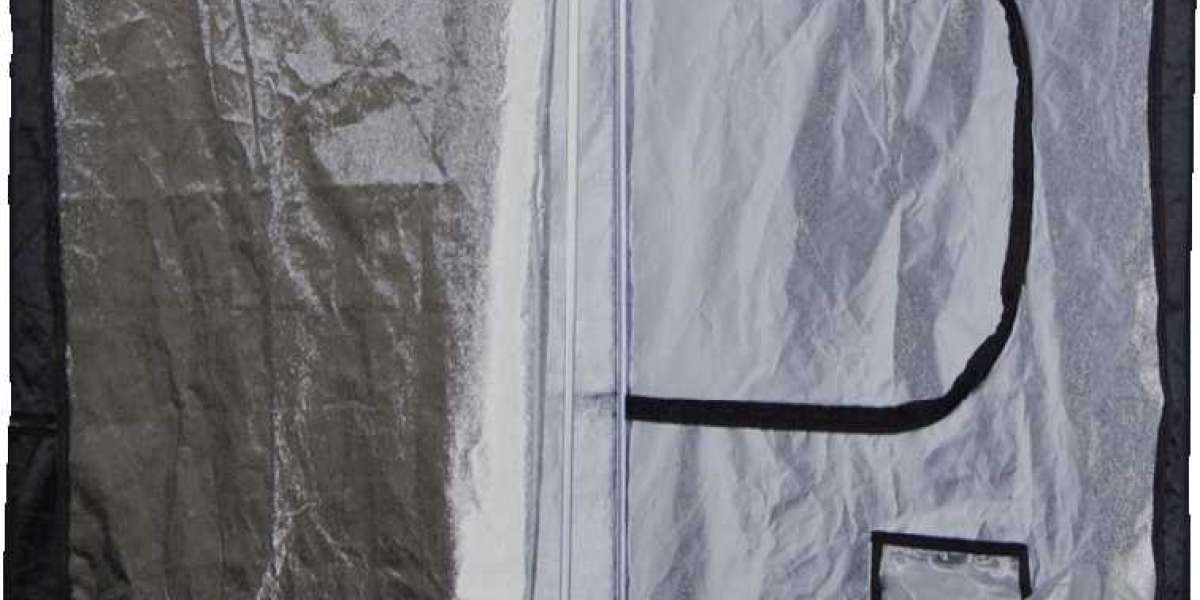 How to Set Up Your Grow Tent