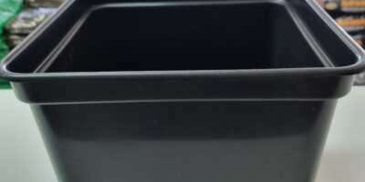 Hydroponic Gardening Has a Lot of Benefits