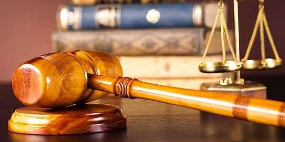 How To Organise A Law Dissertation For Maximum Impact?