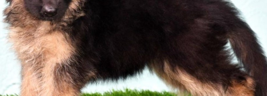 breednbreeder Cover Image