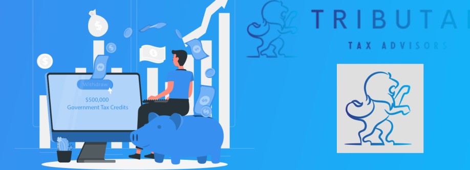 Tributan Tax Advisor Cover Image
