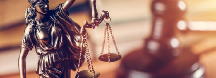 Economic Law Partners LLC Cover Image