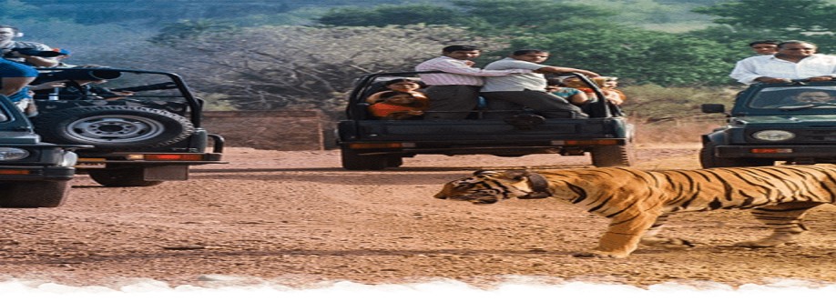 Ranthambore Safari Booking Cover Image