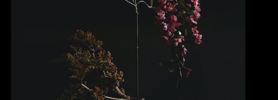 DB Flowers Flowers Cover Image