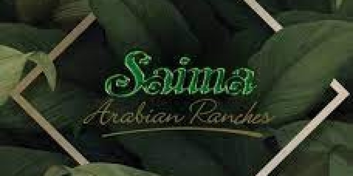 A Serene Oasis: Saima Arabian Ranches
