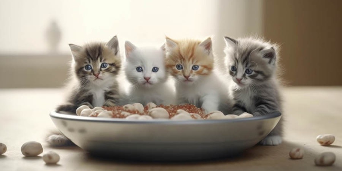 Pamper Your Pets with the Best: Why Buying Pet Food Online is the Ultimate Choice