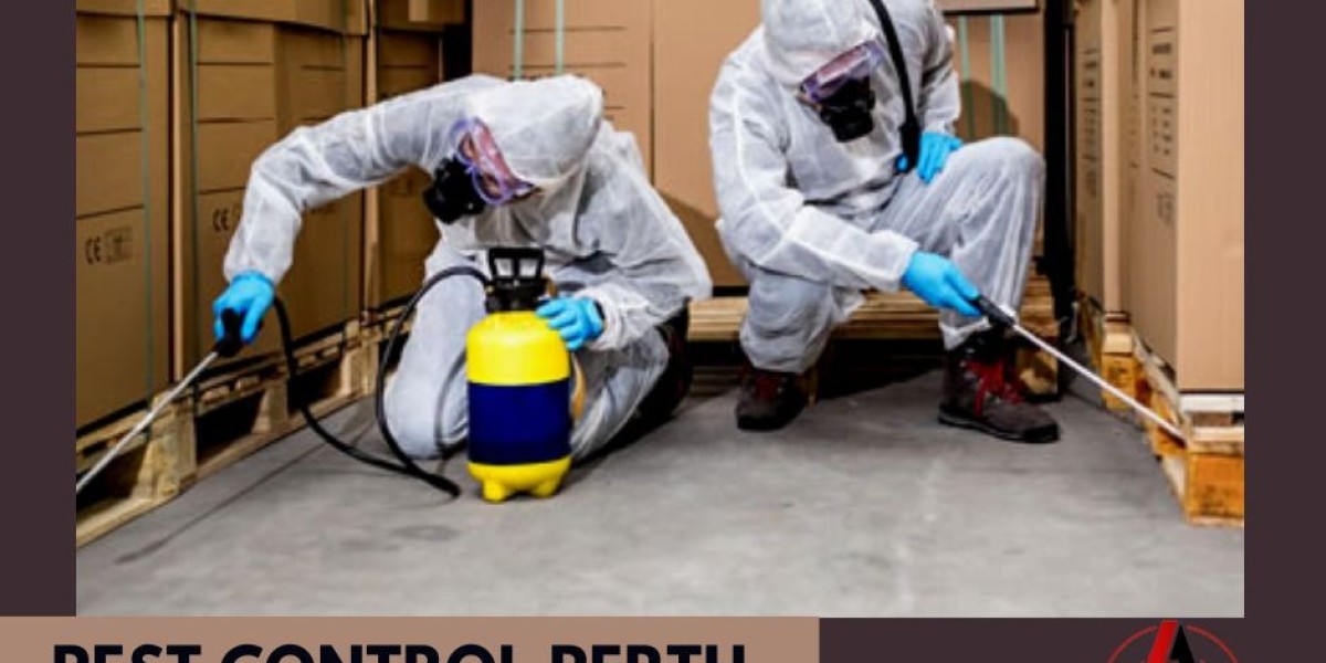 Protect Your Property with Comprehensive Termite Treatment in Perth