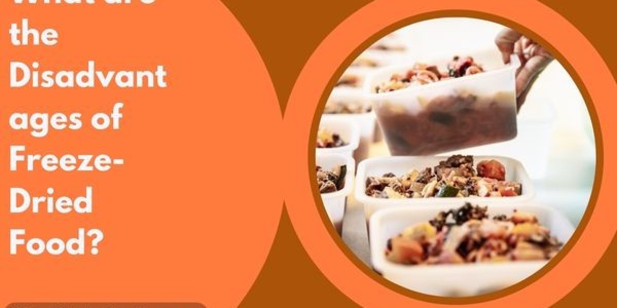 What is a balanced raw diet for dogs?