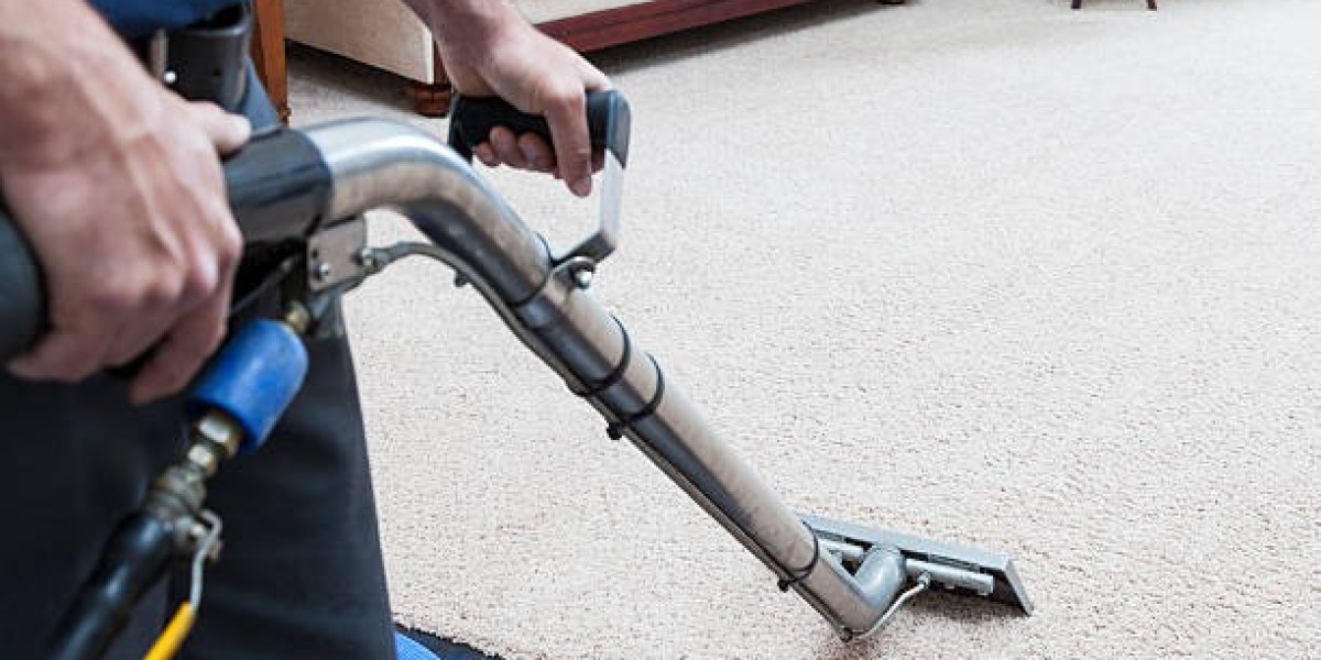 DIY Rug Cleaning: Why You Should Leave It to the Professionals