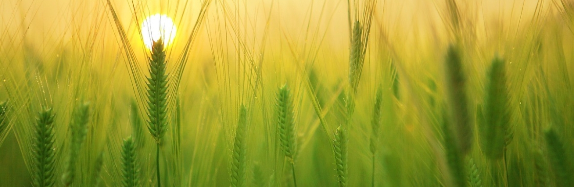 i Kisan Cover Image