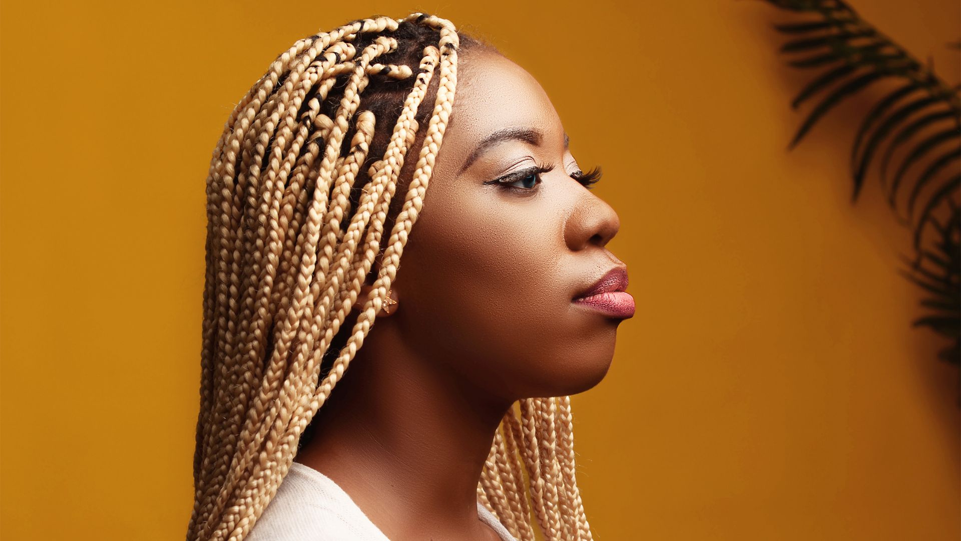 ​7 Celebrity-Approved Twist Braids Hairstyles For 2022 - Hair Factory