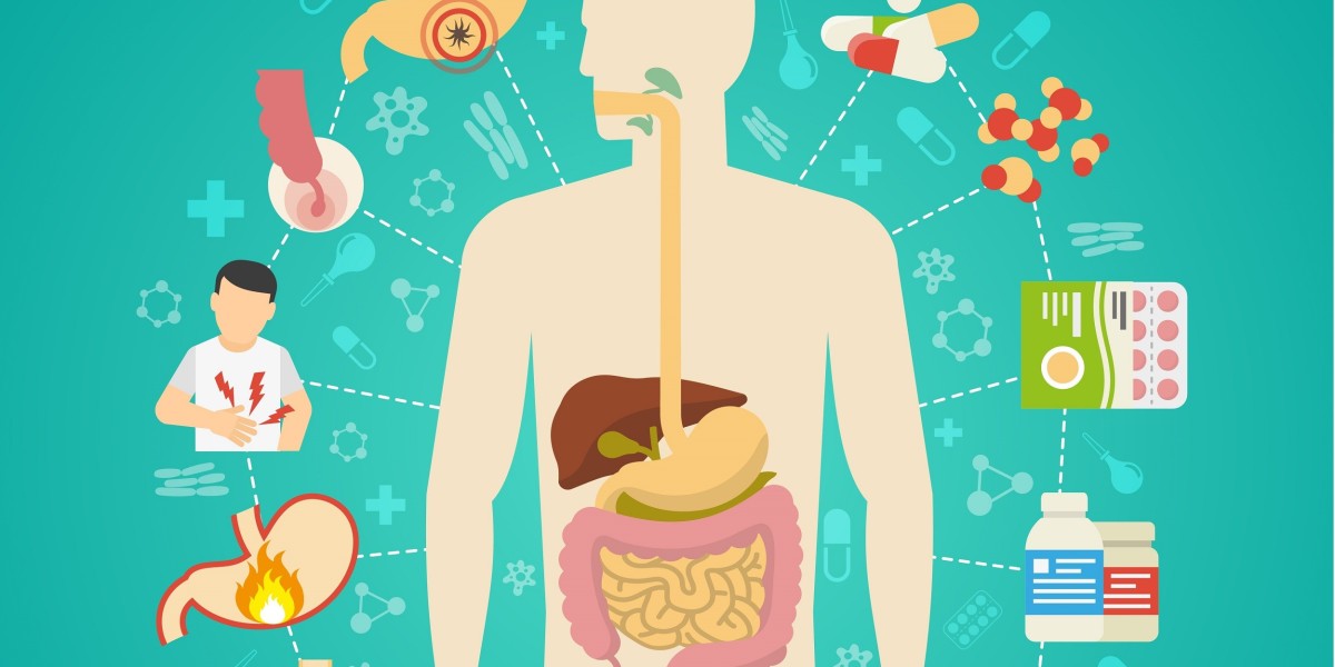 Gastrointestinal Drugs Market: Insights, Trends, and Outlook