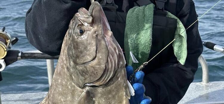 Costa Rica Fishing Report 13 May 2023 - Dream Raiser Sportfishing