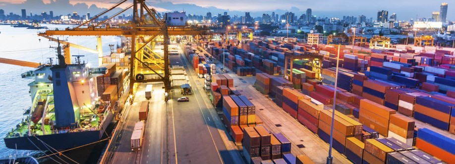 SLR Shipping Services LLC Cover Image