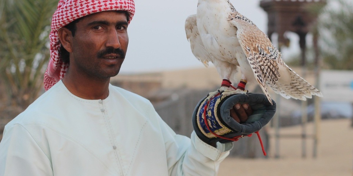 Hot Air Balloon Adventures in Dubai's Oasis