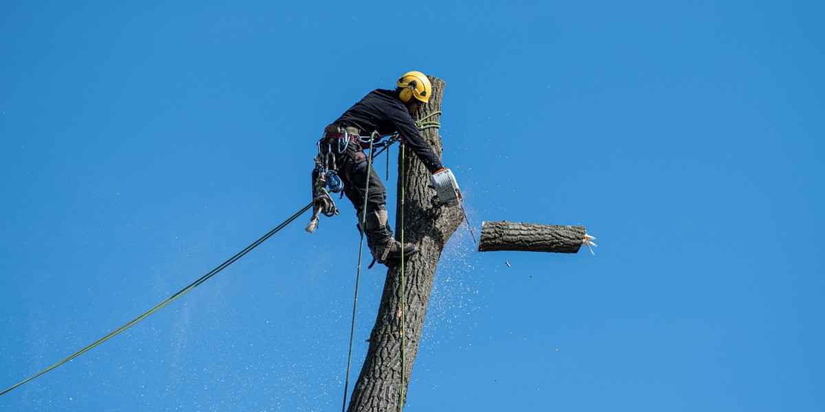 Trimming with Precision: Tree Pruning in Werribee Guide