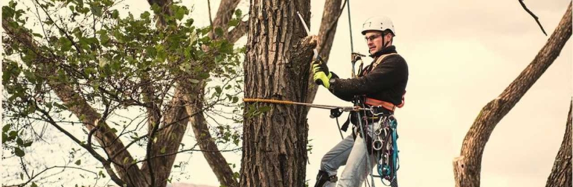 Best Arborists Melbourne Cover Image