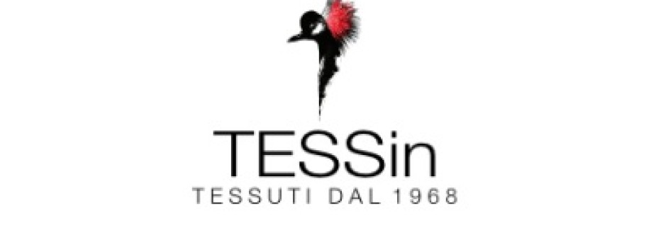 TES Sin Cover Image