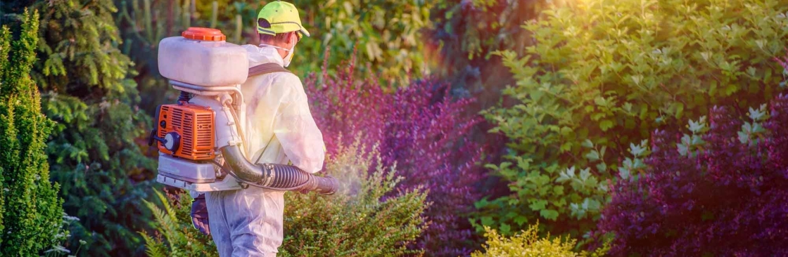 Best Pest Control Companies Newcastle Cover Image