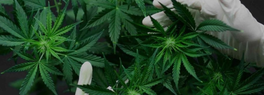 Flegoo CBD Cover Image