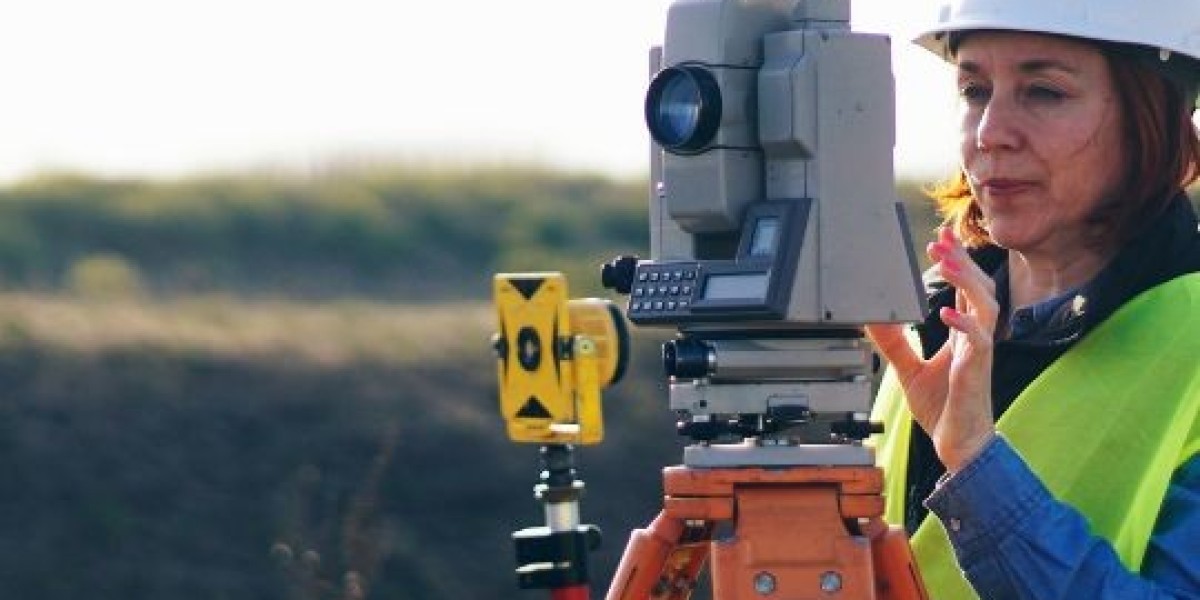 Surveyor Auckland Mapping the Future of Urban Development