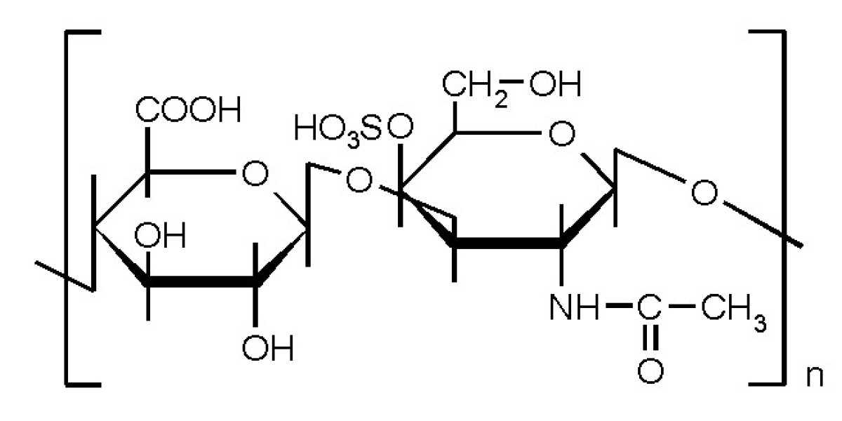 The Future Prospects of Chondroitin Sulfate Market