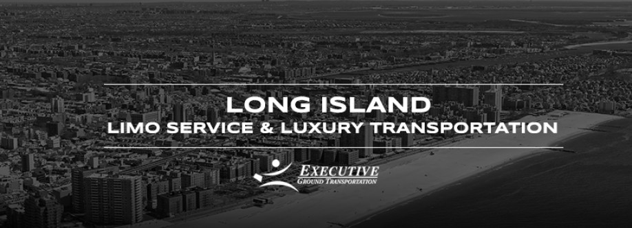 Executive Limousine Cover Image