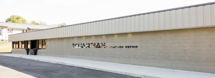 Guardian Foundation Cover Image