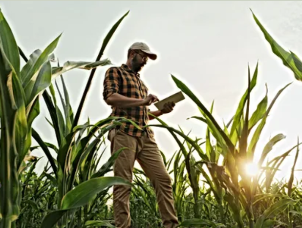 Farm-to-Table: Why Direct Purchases from Farmers Matter