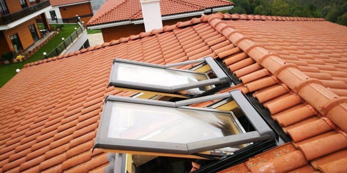 Çatı Pencereleri