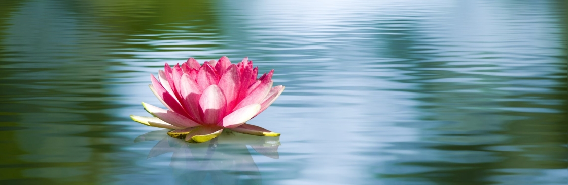 Triumph Behavioral Health Cover Image