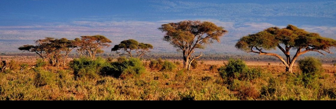 dodogroup tanzania Cover Image