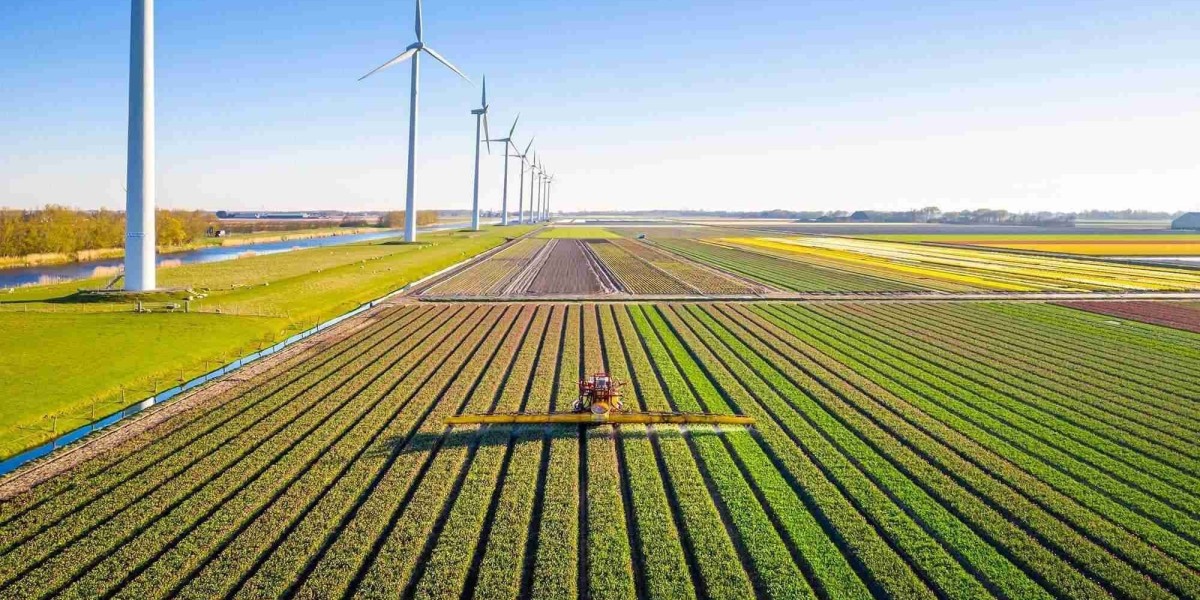 Navigating Sustainability: The Carbon Trading Program in Toronto