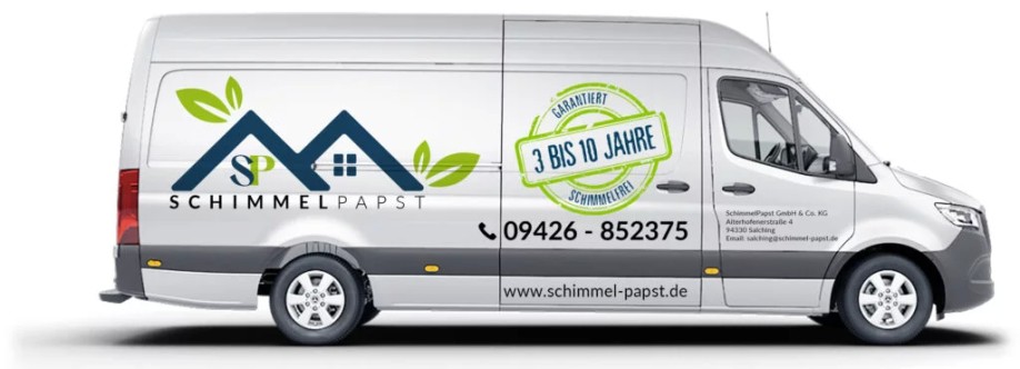 Schimmel Papstde Cover Image