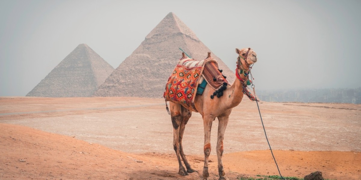 Journey into Eternity: Unveiling the Mysteries of the Valley of the Kings