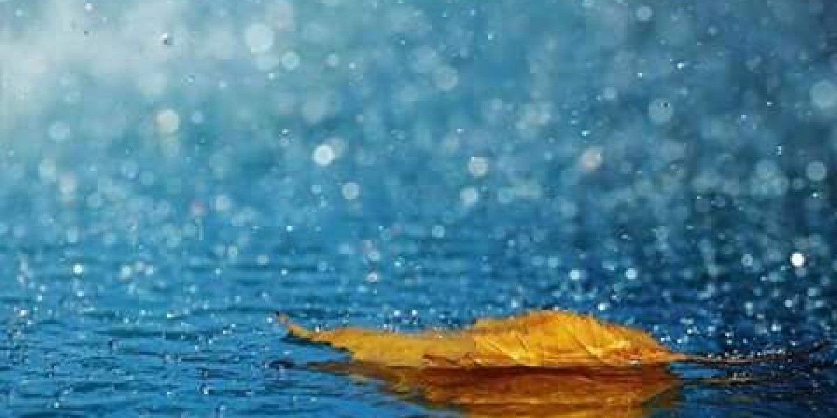 The Role and Impact of Nursing Essay Writing Services in Today's Academic Landscape